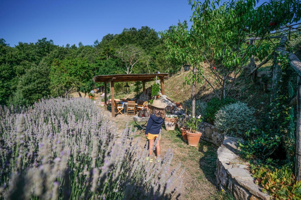 Agriturismo La Colombella Bagni San Filippo Exterior photo
