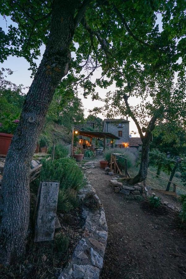 Agriturismo La Colombella Bagni San Filippo Exterior photo