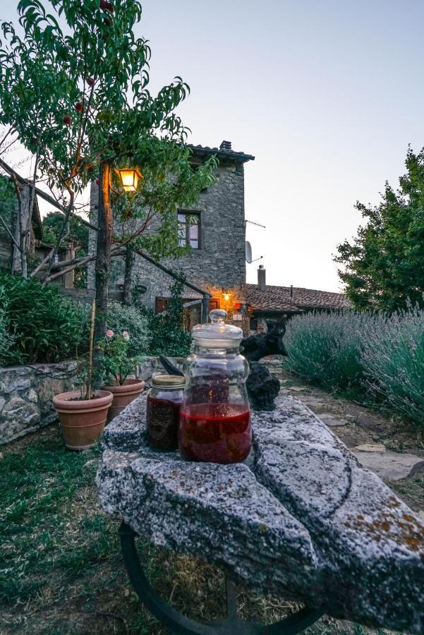 Agriturismo La Colombella Bagni San Filippo Exterior photo