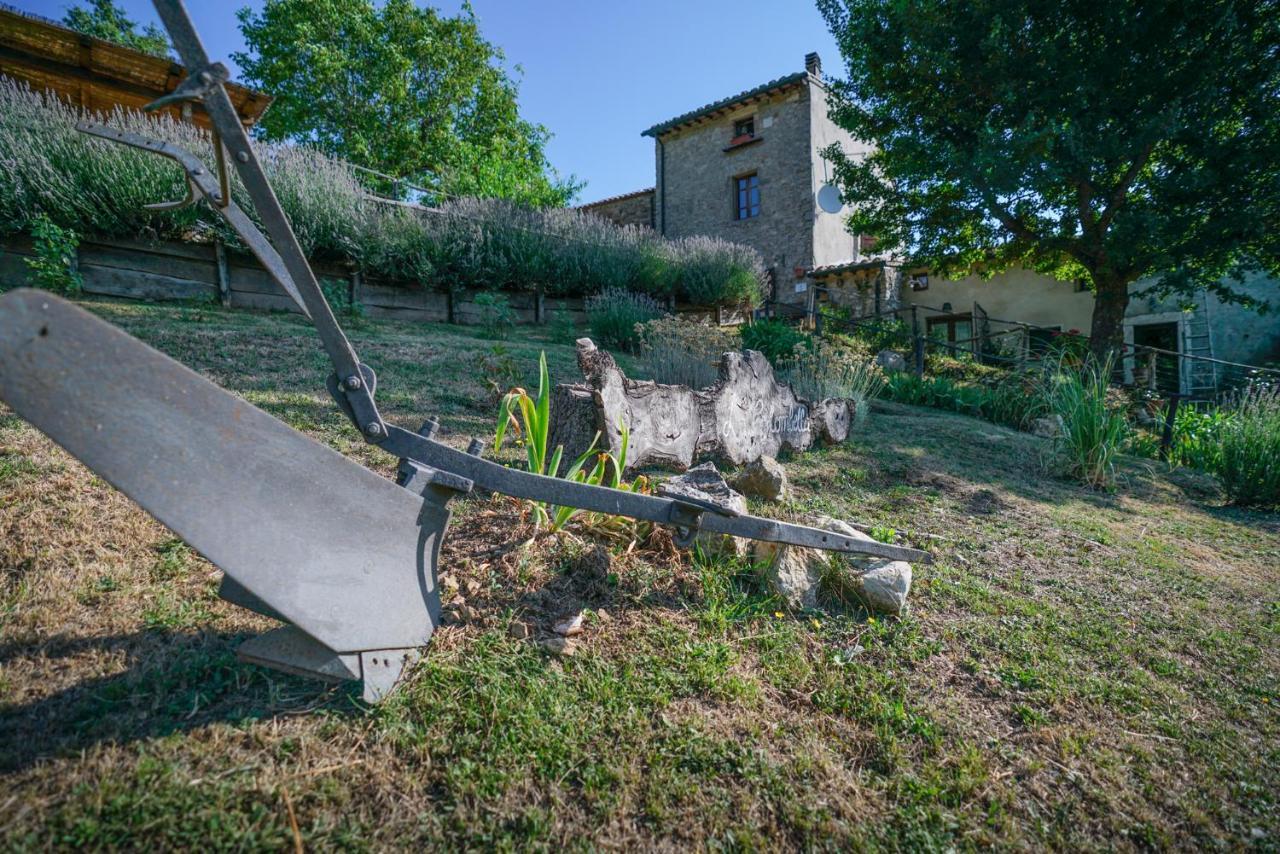 Agriturismo La Colombella Bagni San Filippo Exterior photo